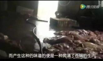 偷拍神兽吃瓜视频大全免费观看  第3张