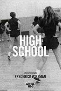 high school dxd在线观看,在线观看，探索禁忌之门的奇幻冒险  第3张